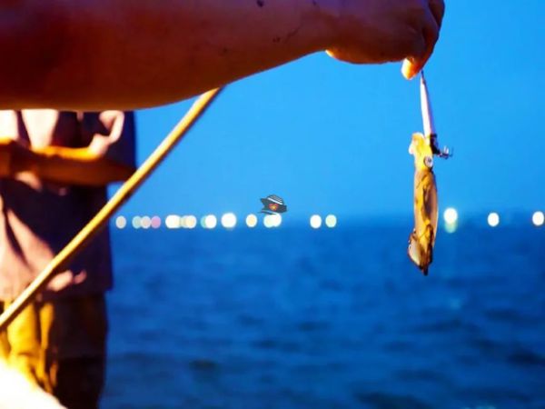 Squid Fishing Tour Nha Trang