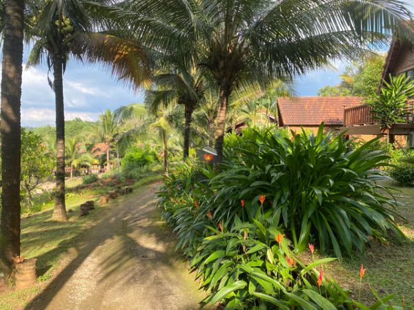 Kotam Ecotourism Daklak Vietnam