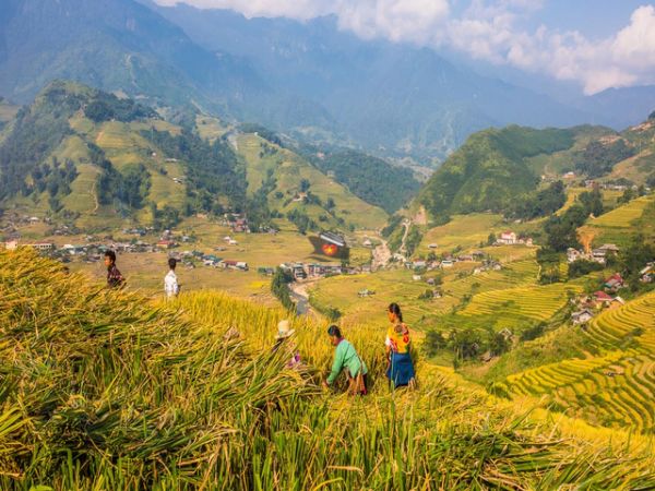 Vietnam Tour 10 Days From Adelaide To Hanoi